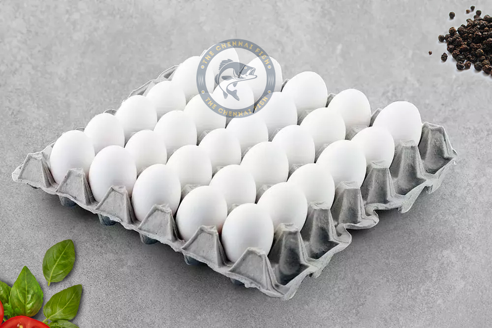 White Egg - (6 PIECES)