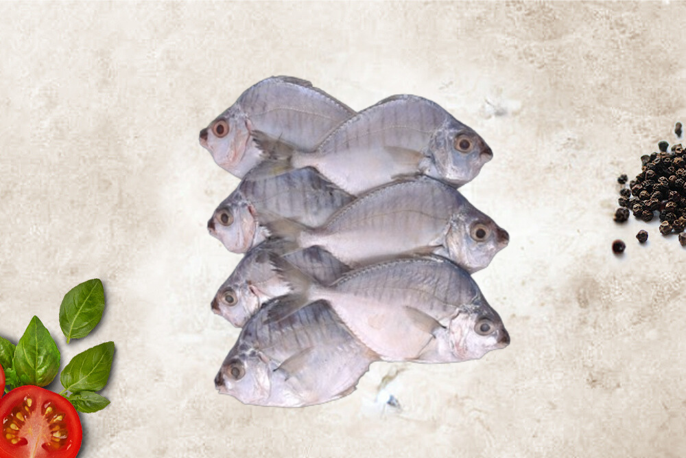 Silver belly Fish / Kara Podi Meen / காரப்பொடி - (1kg)